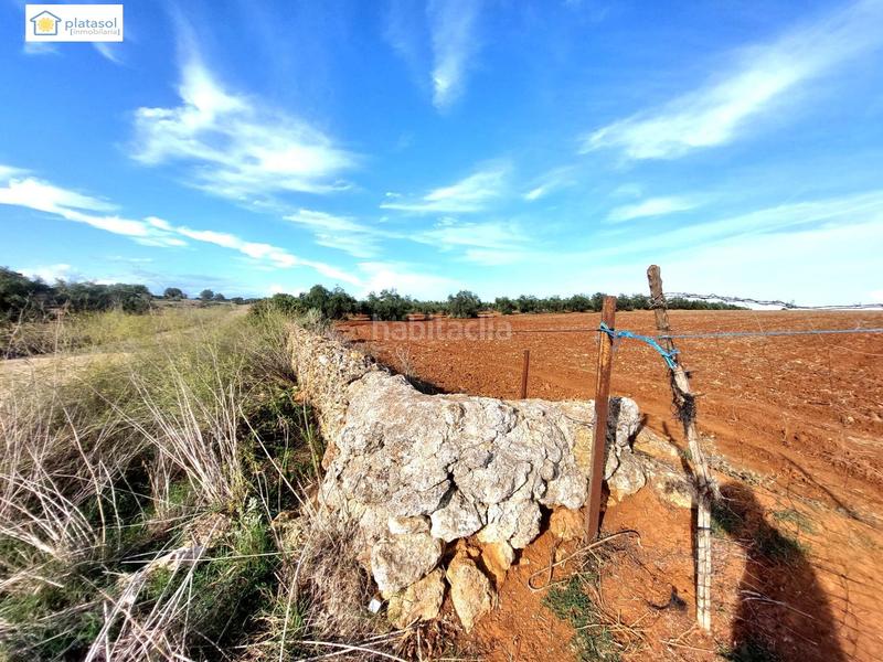 Foto 9907a41a-be6e-4408-b881-17e262ed3a3f. Propriété dans Gerena