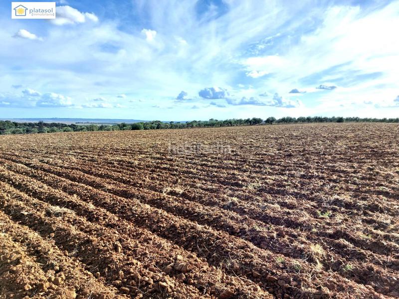 Foto 9ff85b84-d843-4513-81d8-c6c9943e332b. Propriété dans Gerena