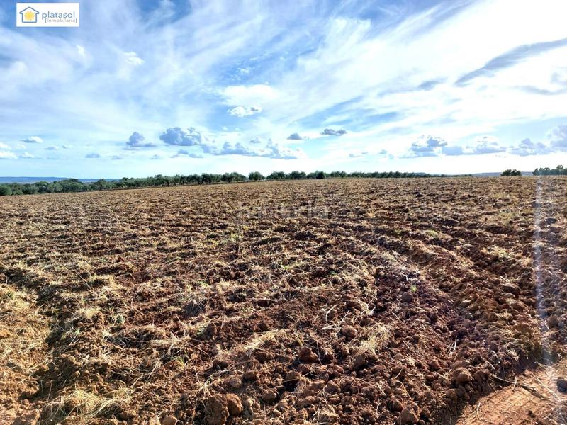 Foto a11bab8c-3627-45ac-80da-4a5822898f7e. Propriété dans Gerena