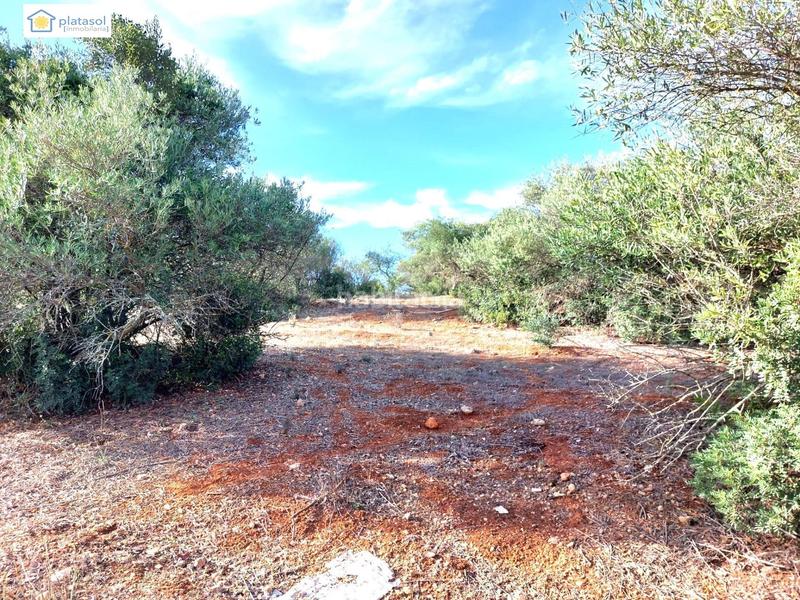 Foto a628c917-71e2-4be7-ab13-d78e07997f92. Propriété dans Gerena