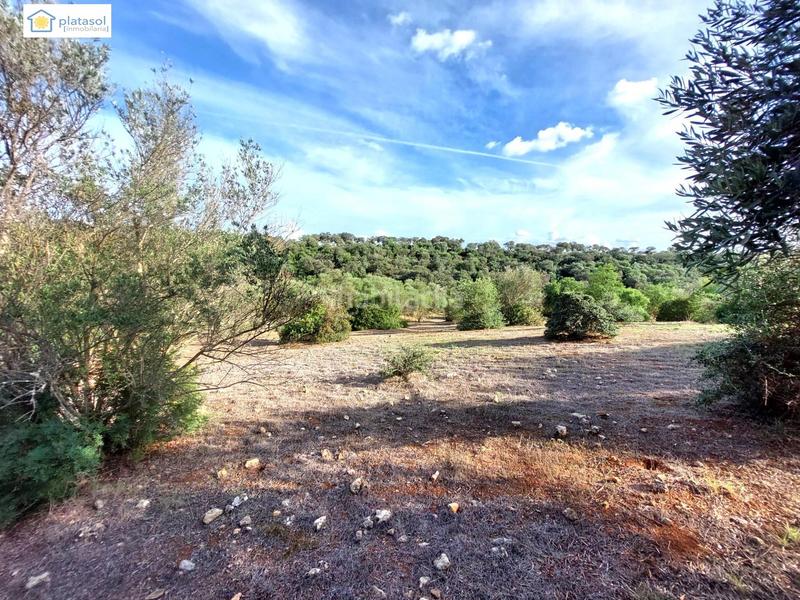 Foto bfb74dc6-1aee-4fd5-91c1-56940e1f2696. Propriété dans Gerena