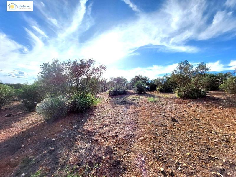 Foto ca69db65-94a7-4c13-9d3f-2019eb3eb9f2. Propriété dans Gerena