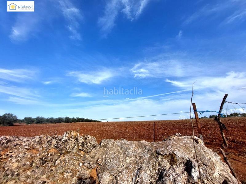 Foto d627153b-4c8e-468f-be0b-81937aaf83ba. Propriété dans Gerena