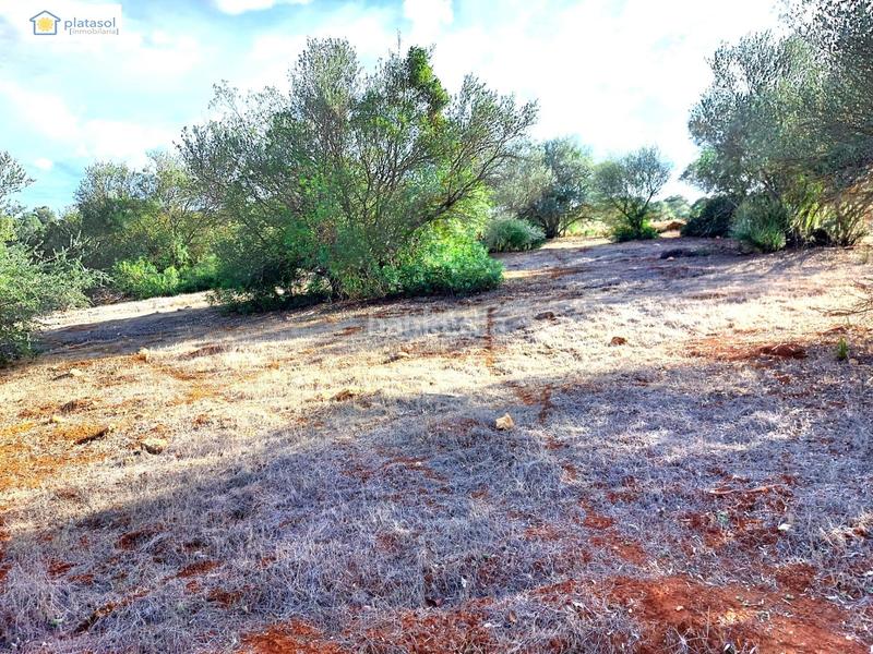 Foto df7a27d7-c772-4e90-aacc-06a2155a6cbc. Propriété dans Gerena