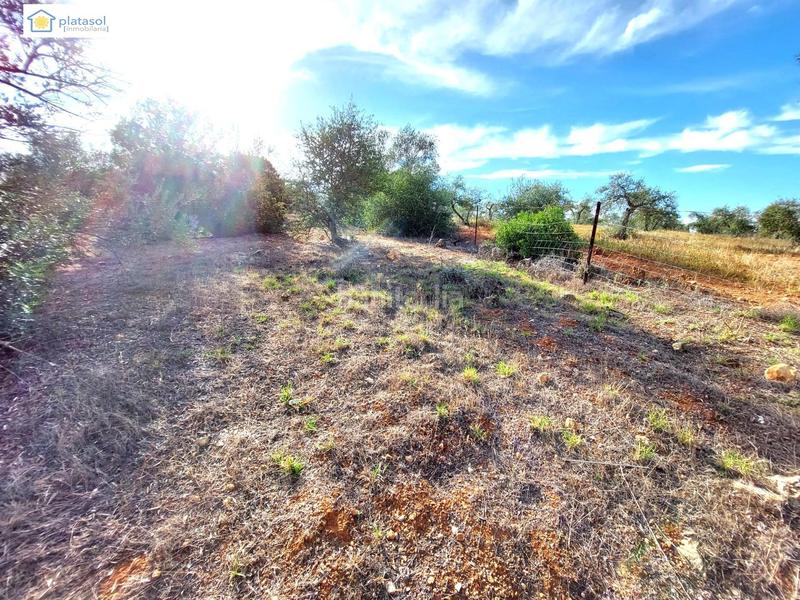 Foto e5a50cca-3db7-4051-9f02-7b280c0f54cc. Propriété dans Gerena