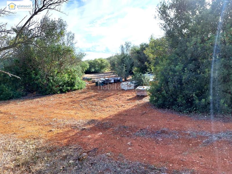 Foto f9db8aa6-cf97-455c-b3fc-c305ea3e1366. Propriété dans Gerena