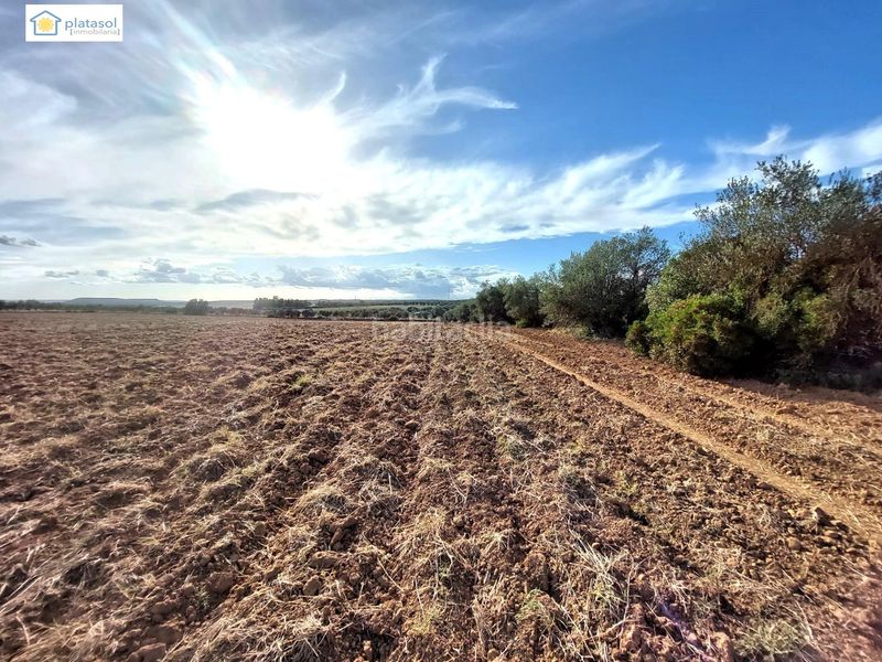 Foto 0b9c229c-e405-4c98-9f13-5c7e911d0c71. Finca rústica a Gerena