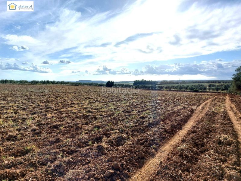 Foto 1fb1b0da-d8bd-4d13-ae83-c70171697350. Finca rústica a Gerena