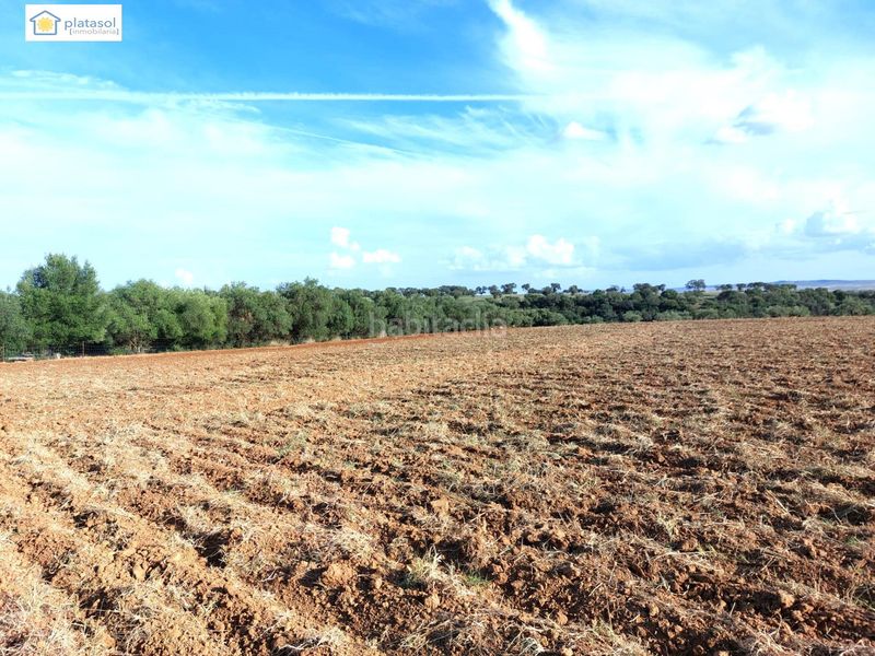 Foto 22fd542a-8b1e-4090-a786-215048315cba. Finca rústica a Gerena