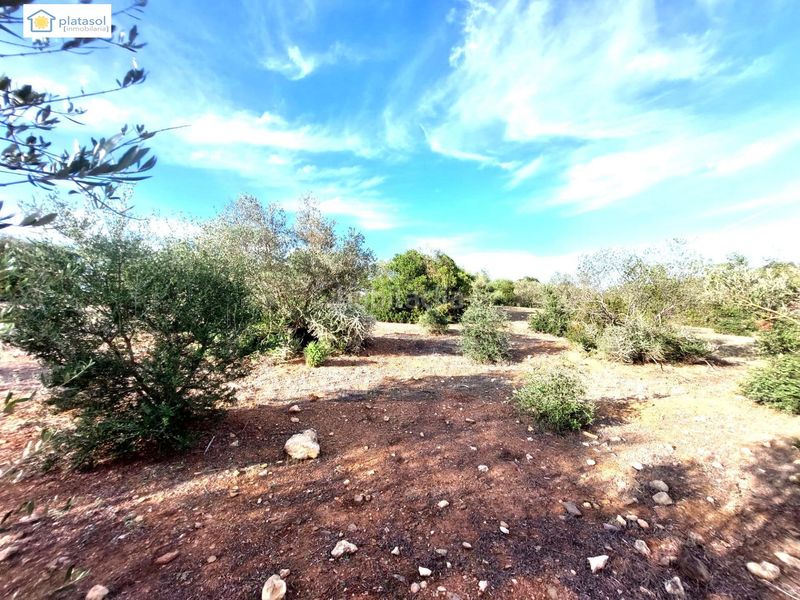 Foto 3671d797-8fb0-415a-b908-e6eb1af09b63. Finca rústica a Gerena