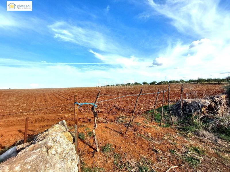 Foto 40d42813-fa9c-4572-93e3-47052fa8222c. Finca rústica a Gerena
