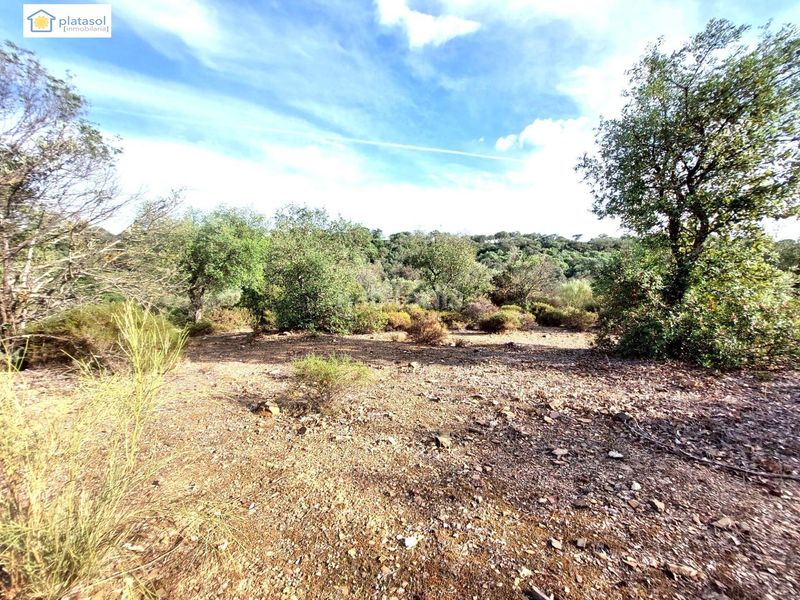 Foto 417bf82e-7ac3-4d11-a3bd-48c9e4e78ff3. Finca rústica a Gerena