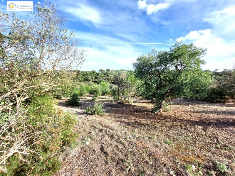 Foto 7561576d-0ddf-402e-b1c7-060031f3ab0b. Finca rústica a Gerena