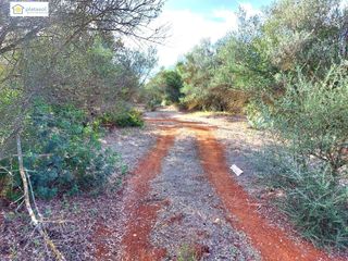 Fondo rustico  Camino del camino de los arrieros. Finca rústica a la venta con unas 7 hectáreas en gerena, sevilla