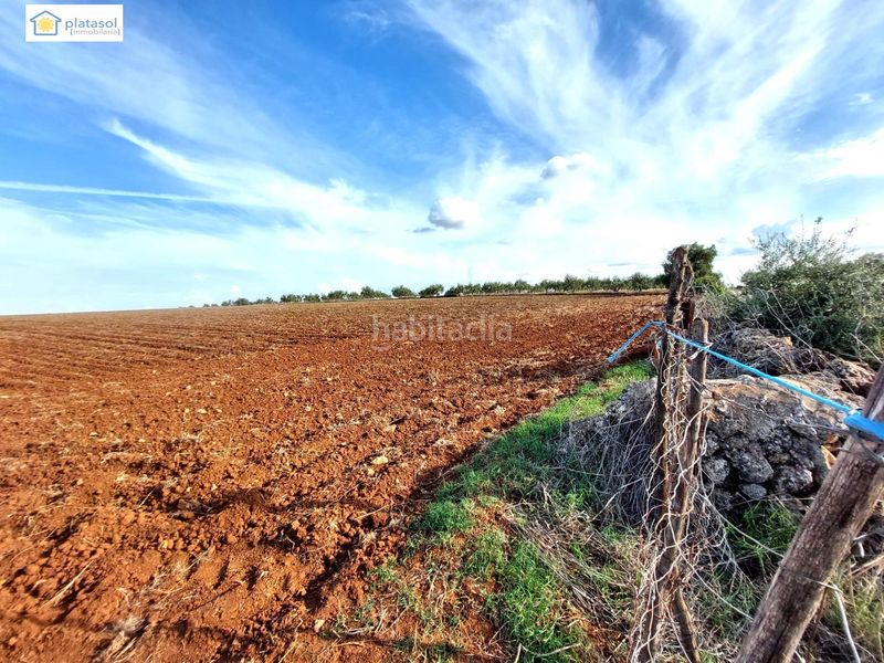 Foto 801caa70-1cfb-4aa4-915d-85423cfff2b8. Finca rústica a Gerena