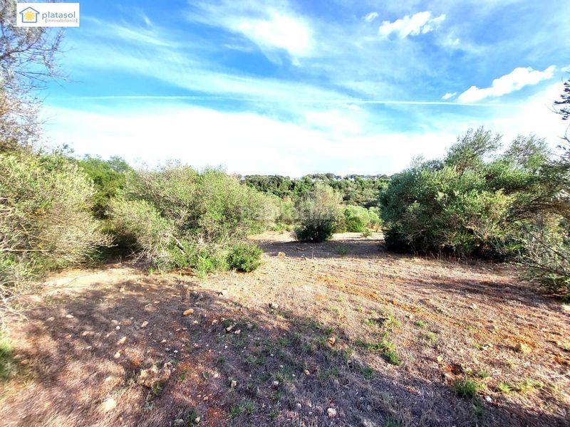 Foto 88e8dd23-790b-43bd-9758-b3096e820dbc. Finca rústica a Gerena