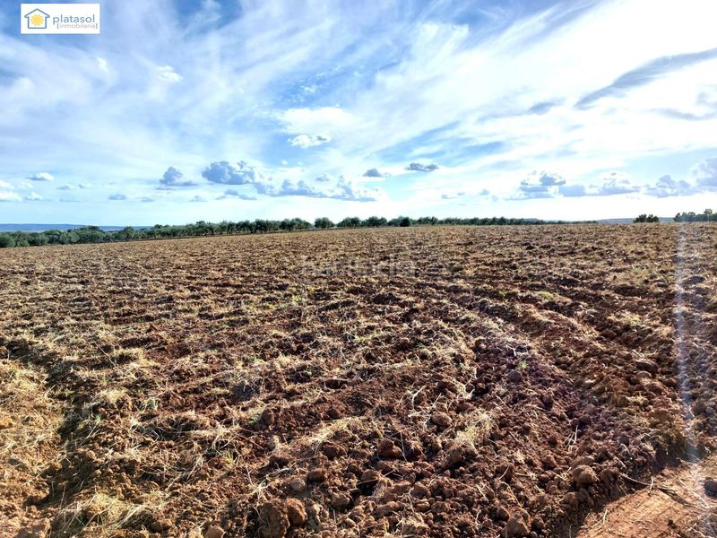 Foto a11bab8c-3627-45ac-80da-4a5822898f7e. Finca rústica a Gerena