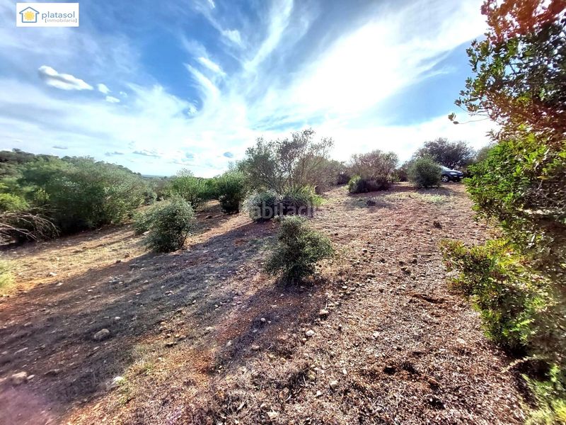 Foto a49b80d6-94ea-4f32-9c80-65256acfea65. Finca rústica a Gerena