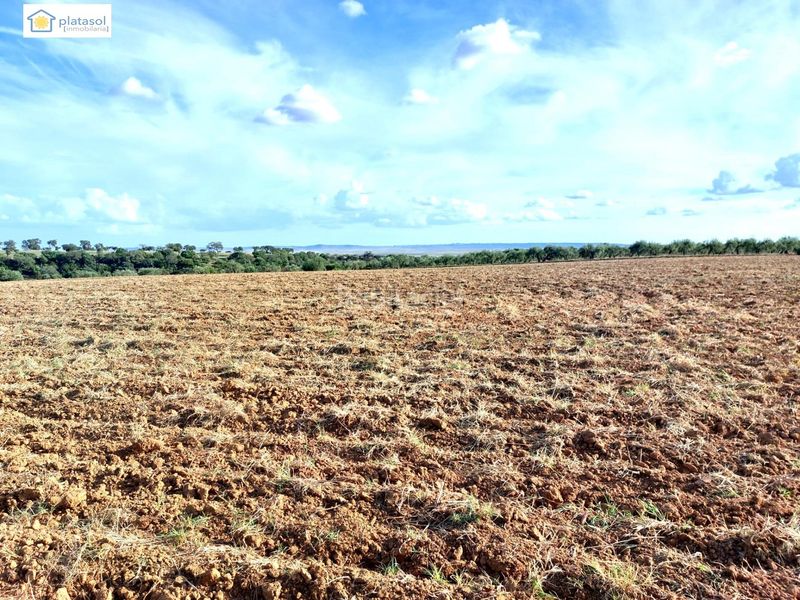 Foto a70c8d51-1680-4fcc-ad43-a2fdb4fa5178. Finca rústica a Gerena