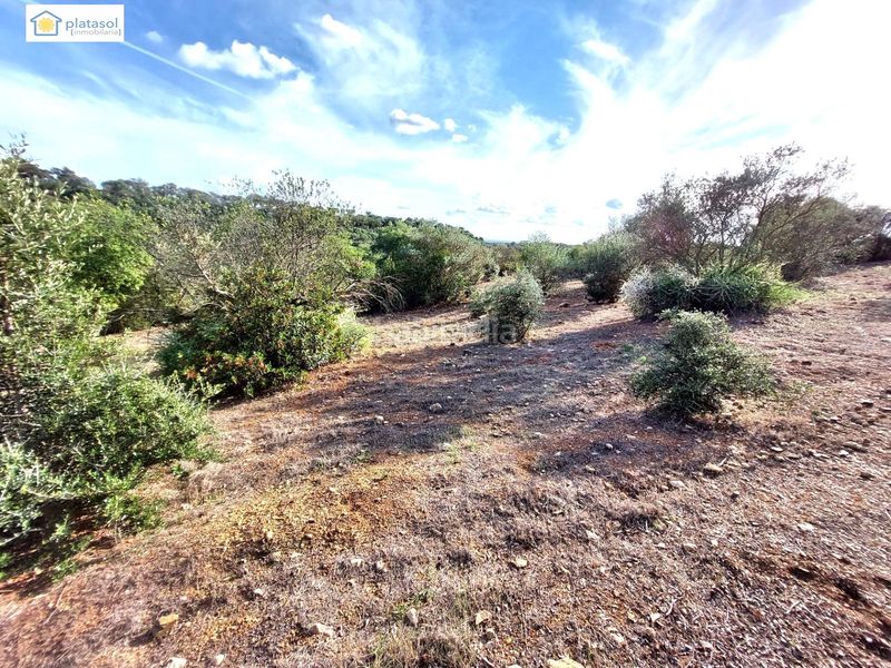 Foto b01ee31c-69ed-4206-8a77-fa762b95f7dc. Finca rústica a Gerena