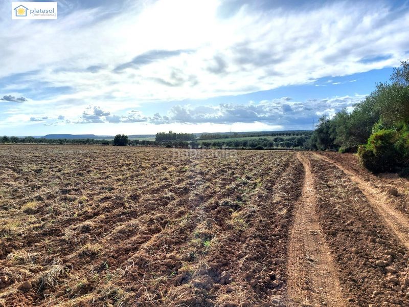 Foto c21dcc52-f1fe-4680-8a57-8118722f957f. Finca rústica a Gerena