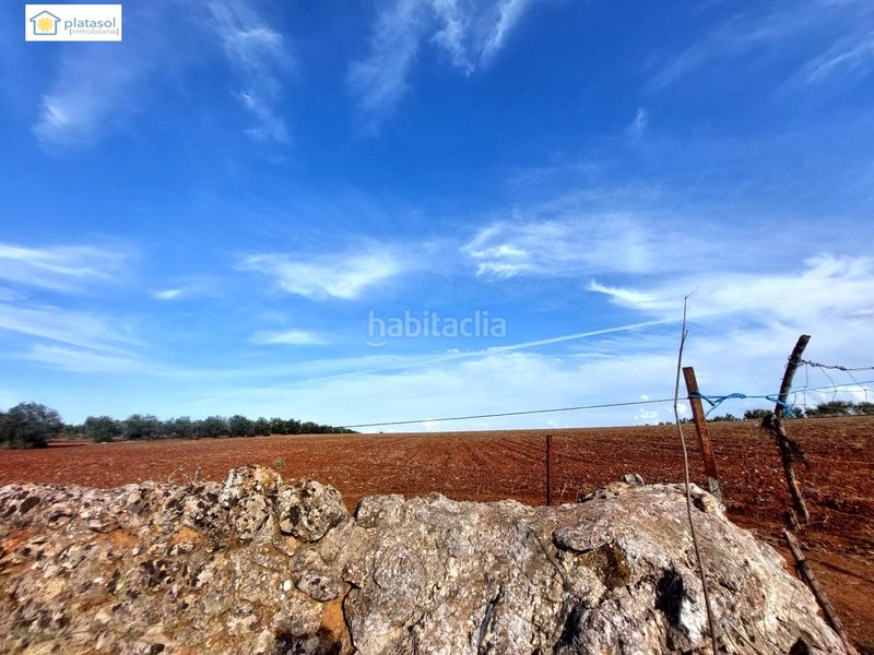 Foto d627153b-4c8e-468f-be0b-81937aaf83ba. Finca rústica a Gerena