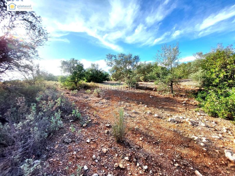 Foto e0c6d174-4b93-444f-a5ab-0a6b608ddb08. Finca rústica a Gerena