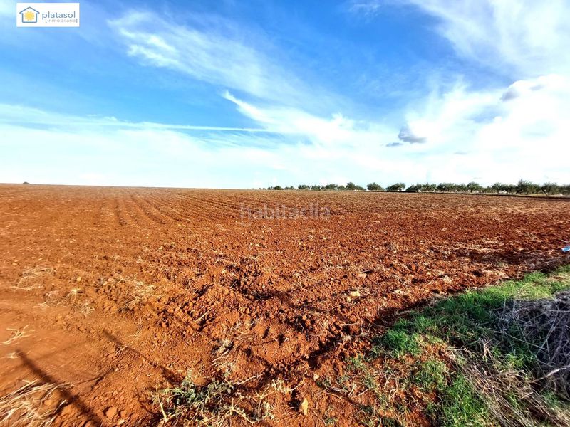 Foto eb4e3f1b-3c03-4a90-8326-b6475bea9596. Finca rústica a Gerena