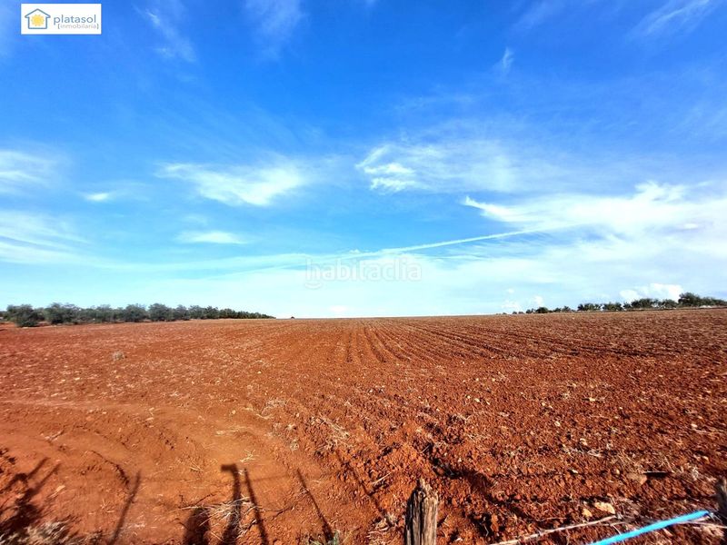Foto f23bb98d-b6e5-459c-a7bc-c0e4cd407623. Finca rústica a Gerena