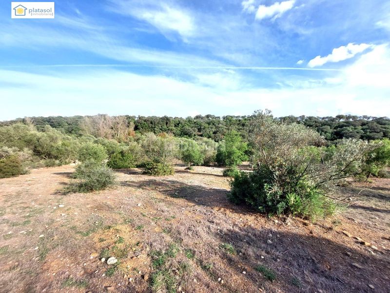 Foto f2aef794-f84d-45e0-ae59-71444891a04f. Finca rústica a Gerena