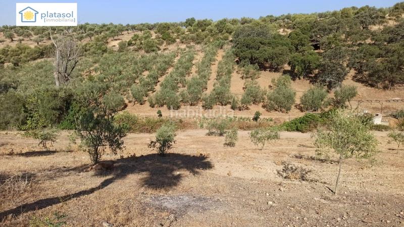 Foto 07611346-3cb6-424c-8528-b2d4b94ebf07. Propriété dans Gerena