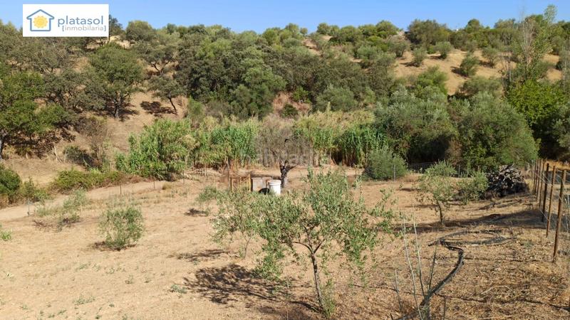 Foto 0c6c3a79-42a8-4652-b7b9-1866c1fe4fc1. Propriété dans Gerena