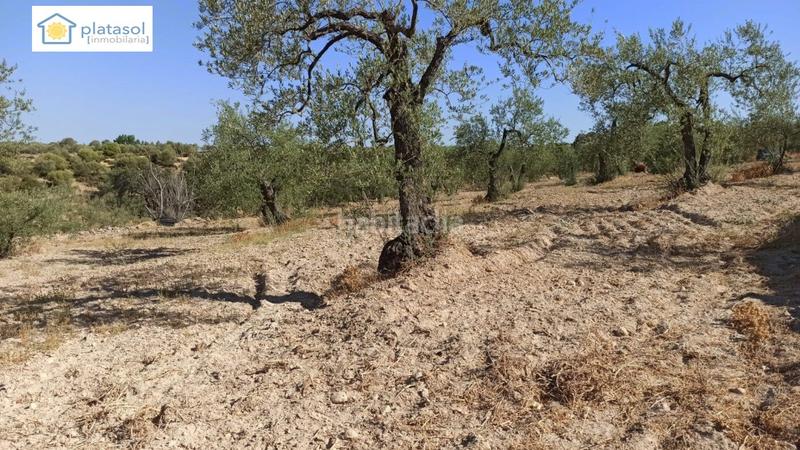 Foto 0f155ccd-49ce-4737-8f9f-2cd1caf1867f. Propriété dans Gerena