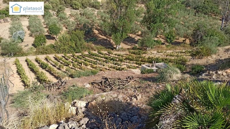 Foto 19d44f84-9f01-475e-8502-bce43c3cebd2. Propriété dans Gerena