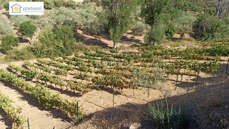 Foto 1b44e1ee-29ce-423b-b0b7-a7e656c05148. Propriété dans Gerena