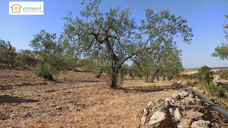 Foto 3d827ef3-28d9-4795-8c01-900702d29647. Propriété dans Gerena