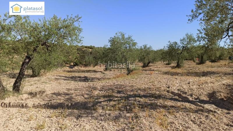 Foto 74ca98a0-073c-4ebe-bfc3-5aafffef2d7c. Propriété dans Gerena