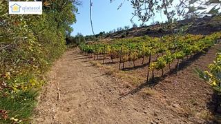 Finca rústica  Piedra caballera. Finca rústica a la venta en gerena zona camino piedra caballera