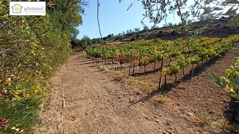 Foto a27fab26-142e-4ec1-a075-a81e5abdca58. Propriété dans Gerena