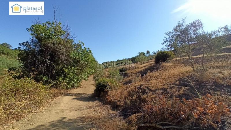 Foto cce5b99a-d7a1-4159-b67d-1322de4a616c. Propriété dans Gerena