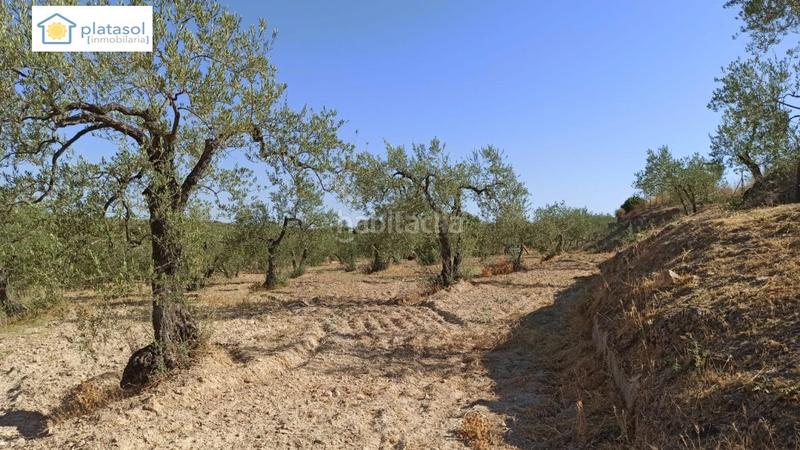 Foto d8d5087b-4892-4d38-b9e7-05d1dbc7a7b8. Propriété dans Gerena