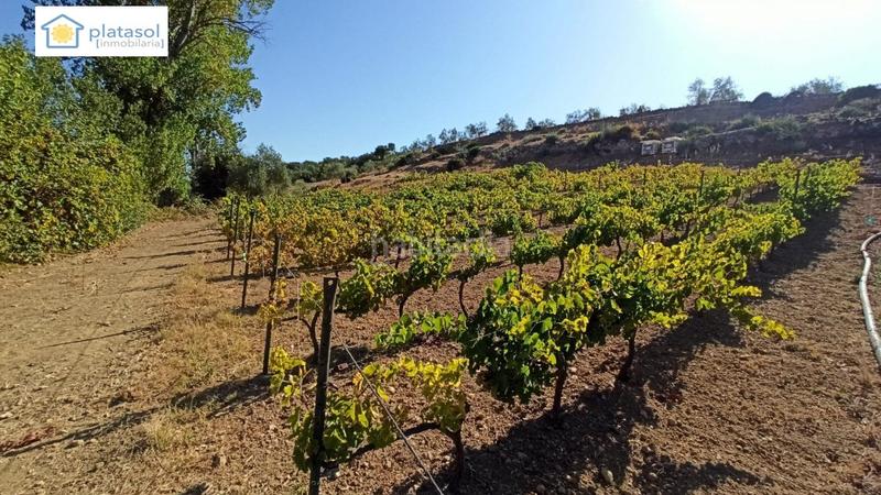 Foto db2dff50-d0f7-4a53-9d21-9d1d58a26d41. Propriété dans Gerena