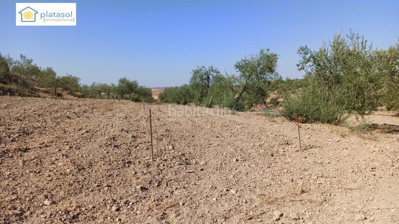 Foto de4cabef-84a0-48fc-8f29-5e21336e5cbd. Propriété dans Gerena