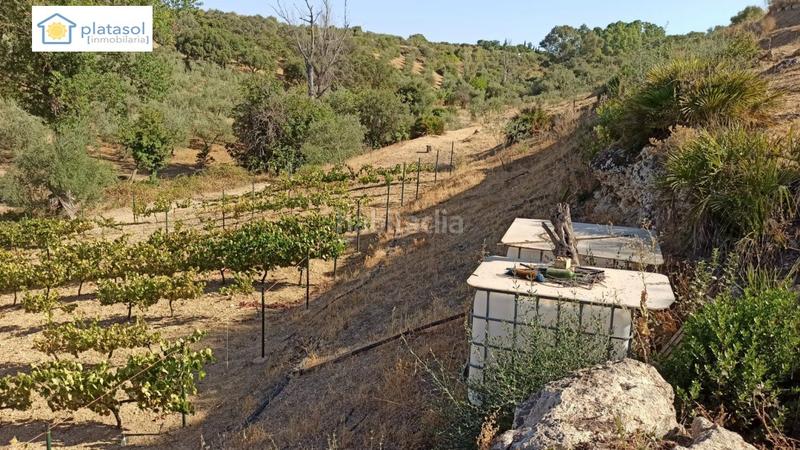 Foto eba4db9a-a550-4367-a581-ccea20f61b3d. Propriété dans Gerena