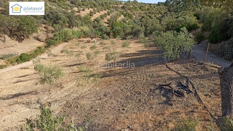 Foto f3227957-45f2-49b3-9a29-f888fe1e032e. Propriété dans Gerena