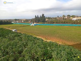 Masia  Sanlucar-olivares se-513. Magnifica finca rustica en sanlucar la mayor con construcciones