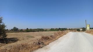Finca rústica  Carretera guillena-t reina(se-188). Finca rústica de 2,5 hectáreas a la venta en guillena  sevilla