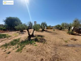 Masia  Camino gerena. Magnifica finca rustica con casa
