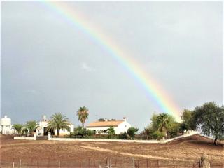 Masia  Almadn de la plata. Finca de explotacin ganadera en activo con 80 hectreas en sevi