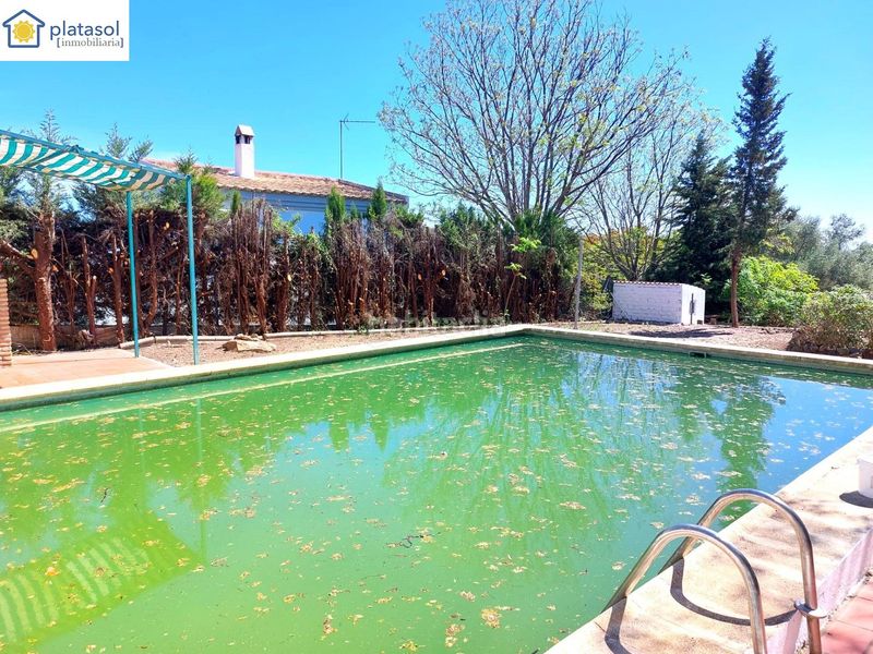 Foto 617ce763-1668-4fb2-89f4-098b2ad3d80d. Xalet amb aparcament piscina a Las Pajanosas Guillena